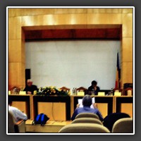 The plenary setting