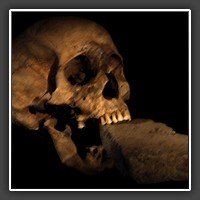 The so-called Vampire of Venice: In 2006, a team excavated a mass grave from the 16th century in Venice. They discovered a skeleton with a brick jammed between it’s teeth.
