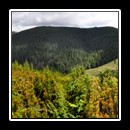 Călimani Mountains panorama view.